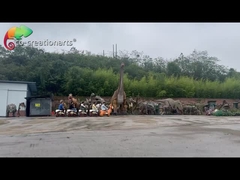 Sprzęt do zabawy dla dzieci Park rozrywki Bezszynowy pociąg Odporność na warunki atmosferyczne