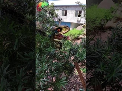 Wodoodporny sprzęt do zabaw dla dinozaurów Animatronic Dinosaur Puppet For Dino Park