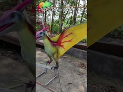 ISO 110VAC Realistyczny dinozaur animatroniczny sprzęt do zabaw dla pterozaurów