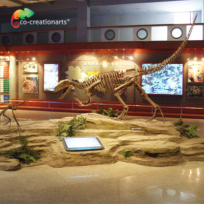 Odporny na słońce szkielet dinozaura z żywicy czaszka gazozaura