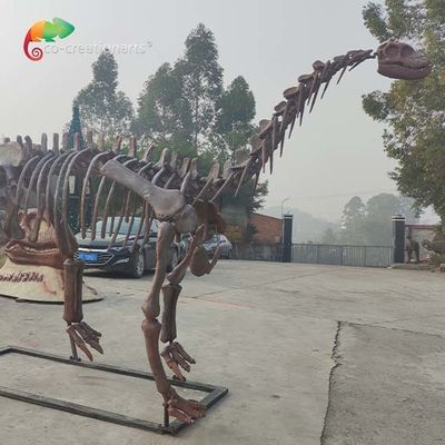 CE Jurassic Park Dinosaur Skeleton Replica Shunosaurus Skeleton Odporność na warunki atmosferyczne