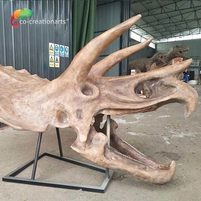 kupować ISO wodoodporna Replika szkieletu dinozaura Fossil Life Size Triceratops Skull online manufacture