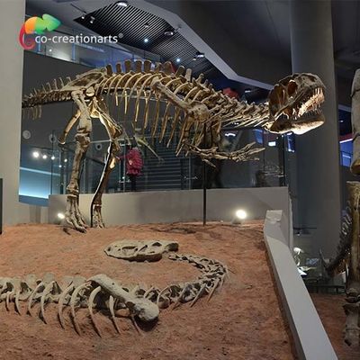 kupować landscape decoration Outdoor Yangchuanosaurus Skeleton Dinosaur Replica Fossil online manufacture