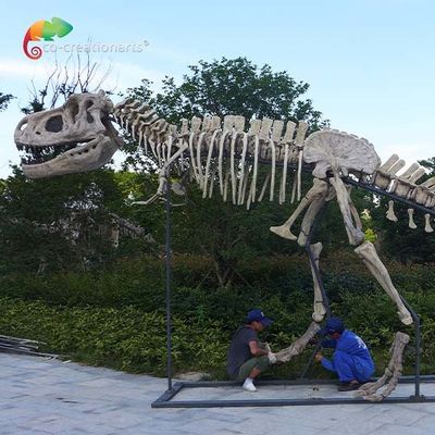kupować długość 15m Muzealna jakość Repliki dinozaurów Czaszka T Rex wodoodporna online manufacture