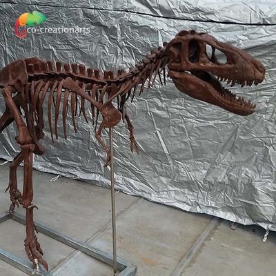 Spersonalizowana personalizacja Repliki kości dinozaurów Replika czaszki T Rex