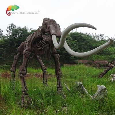 kupować Odporność na warunki atmosferyczne Replika szkieletów zwierzęcych w prawdziwym rozmiarze Model Mammuthus online manufacture