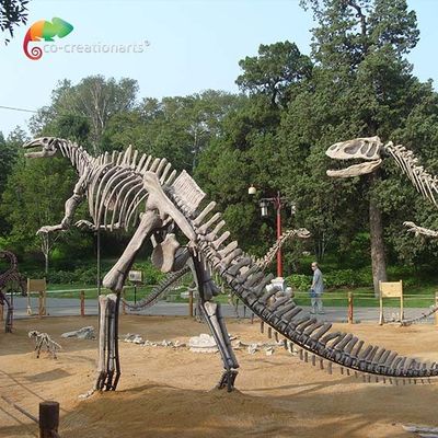Replika czaszki dinozaura z włókna szklanego Life Size Hadrosaurus Szkielet zapobiegający starzeniu