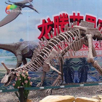 Dekoracja parku Repliki kopalnych dinozaurów naturalnej wielkości Tsintaosaurus Skeleton Sunproof