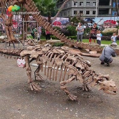Dobra cena. Dekoracja parku Replika szkieletu dinozaura naturalnej wielkości Odporna na słońce w Internecie