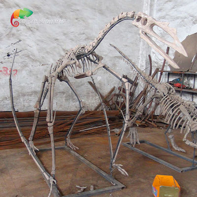 kupować Wystawa muzealna Szkielet dinozaura z żywicy Quetzalcoatlus Szkielet Konfigurowalny online manufacture