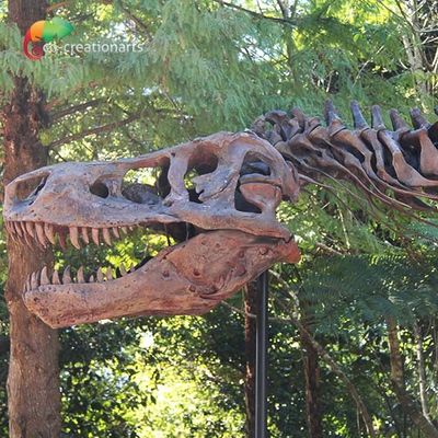 Odporna na warunki atmosferyczne replika szkieletu T Rex