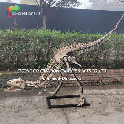 Dobra cena. Wysoce szczegółowe dekoracje zewnętrzne Żywica Szkielet dinozaura Replika Szkielet T-rexa w Internecie