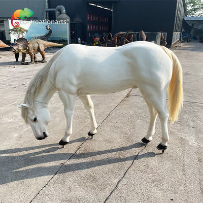 Nazwa