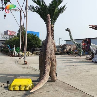 Nazwa