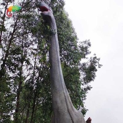 Nazwa