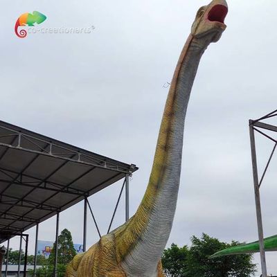 Nazwa