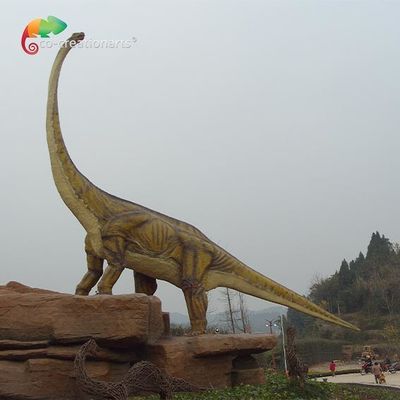 Nazwa