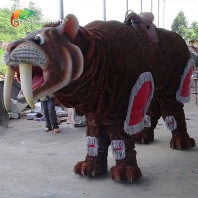 Nazwa