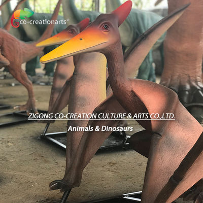 Nazwa
